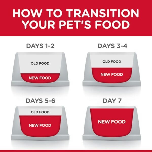 Wet Dog Food - Image 2