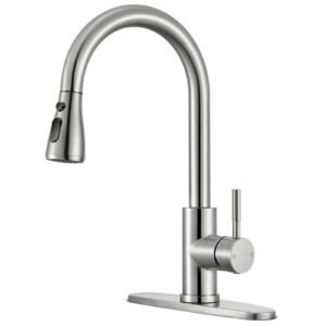 Kitchen Faucets with Pull Down Sprayer