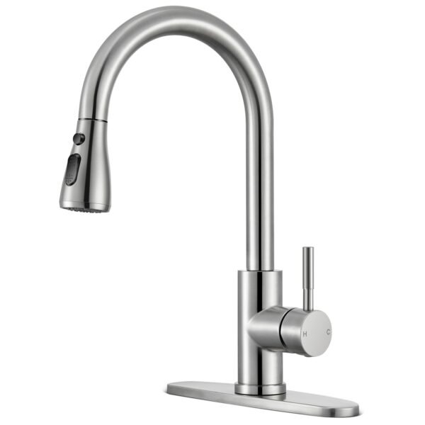 Kitchen Faucets with Pull Down Sprayer