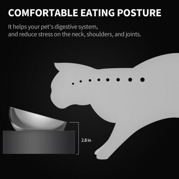 Raised Dog Cat Food Bowl - Image 5