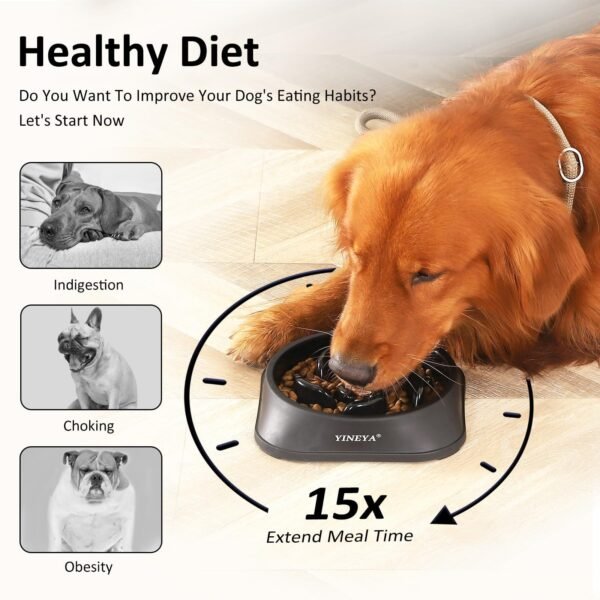 Slow Feeder Dog Bowls - Image 6