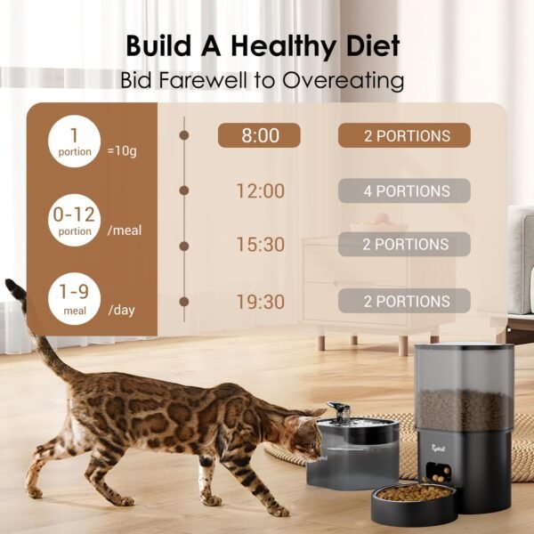 Automatic Cat Feeder and Water Fountain - Image 6
