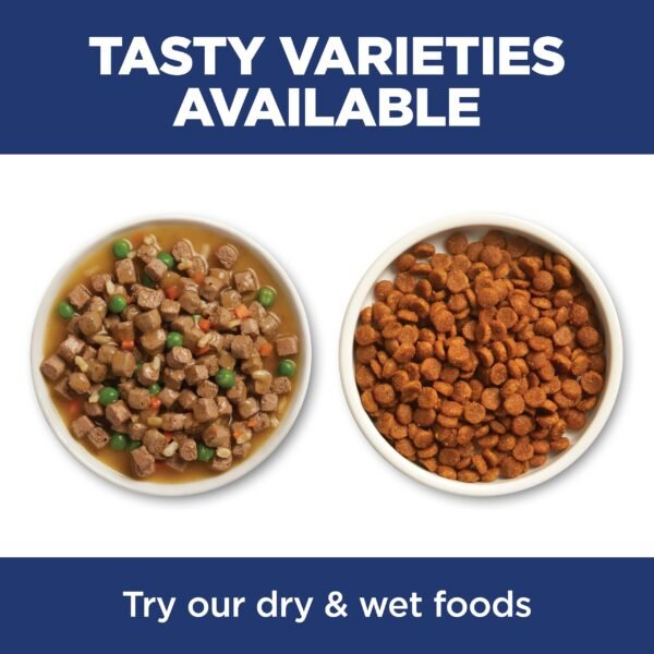 Dry Cat Food, Chicken Recipe - Image 8
