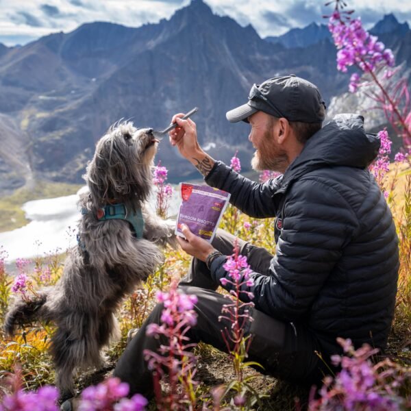 Summit Food Kit | Camping & Backpacking Food - Image 8