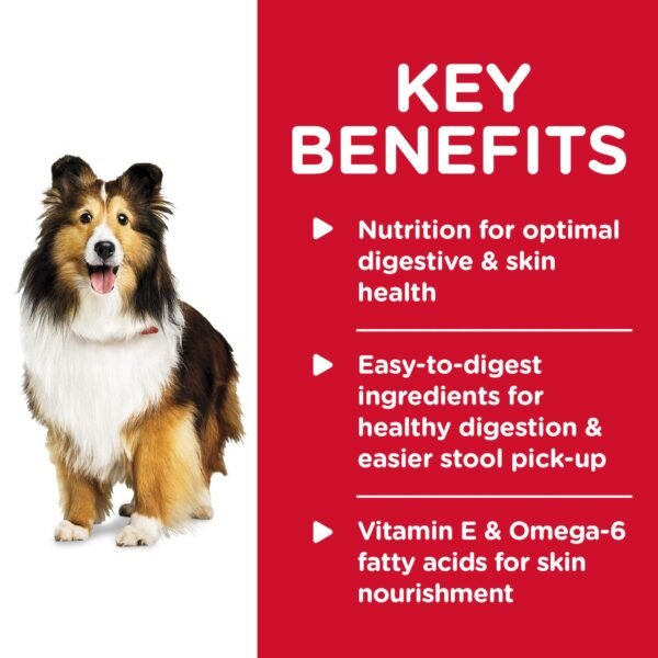 Wet Dog Food - Image 8