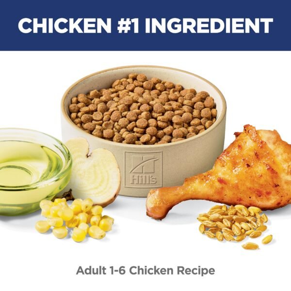 Dry Cat Food, Chicken Recipe - Image 13